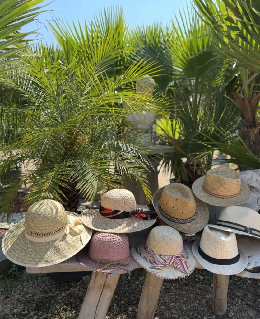 Chapeaux de paille devant des palmiers
