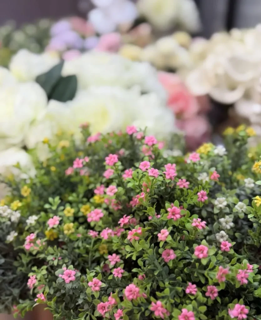 Fleurs roses de saison