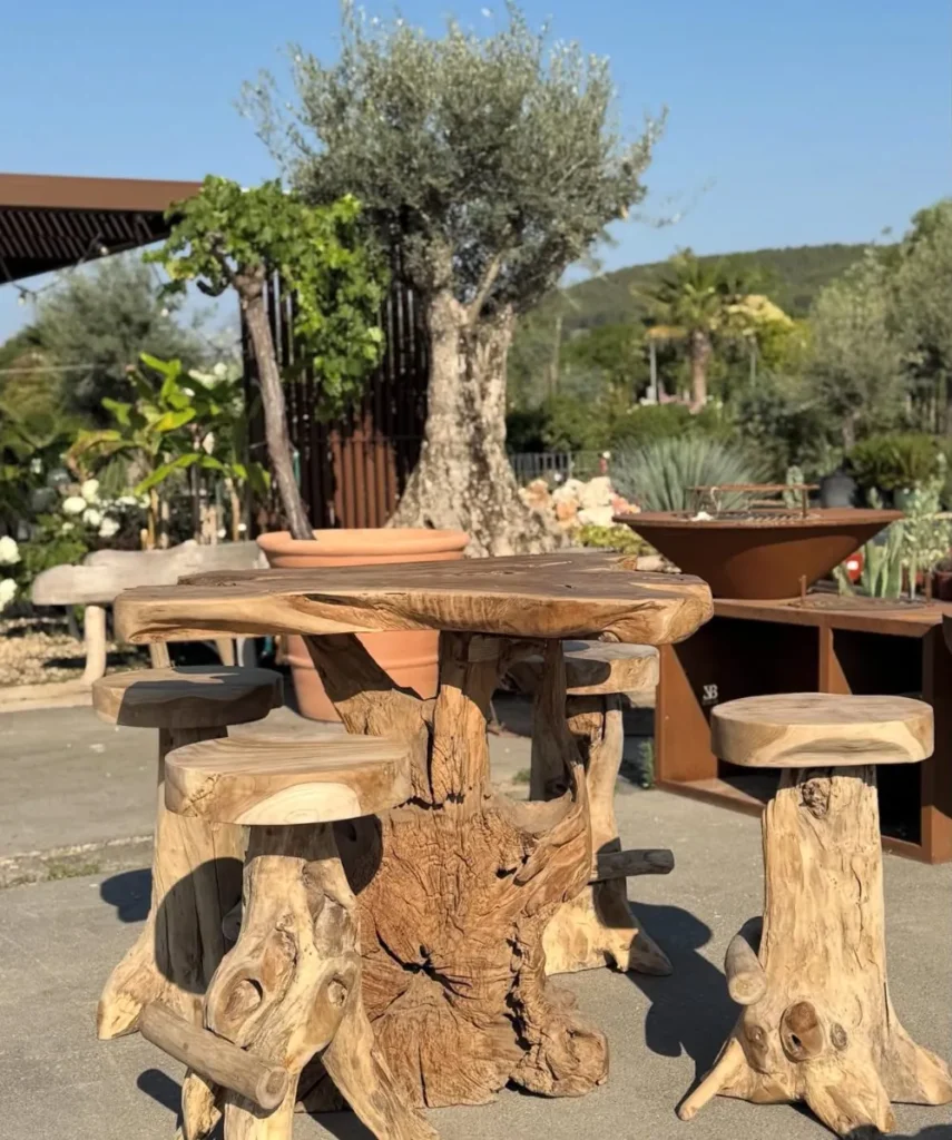 Olivier en pot sur table de terrasse