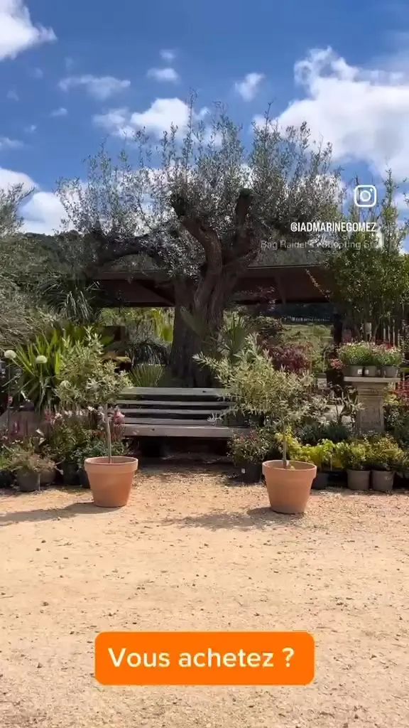 Jeu concours du Comptoir de la Vallée