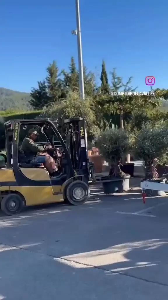 Oliviers du Comptoir en vidéo